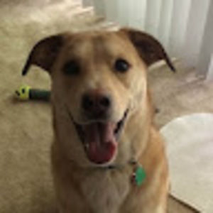 Meet your Posher, Laurence